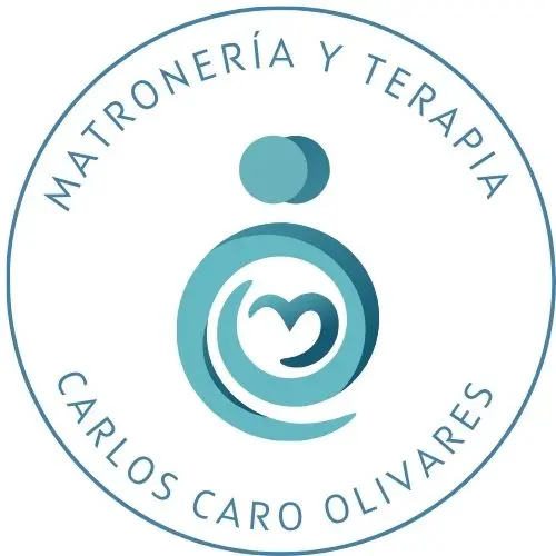 matroneriayterapia.odoo.com